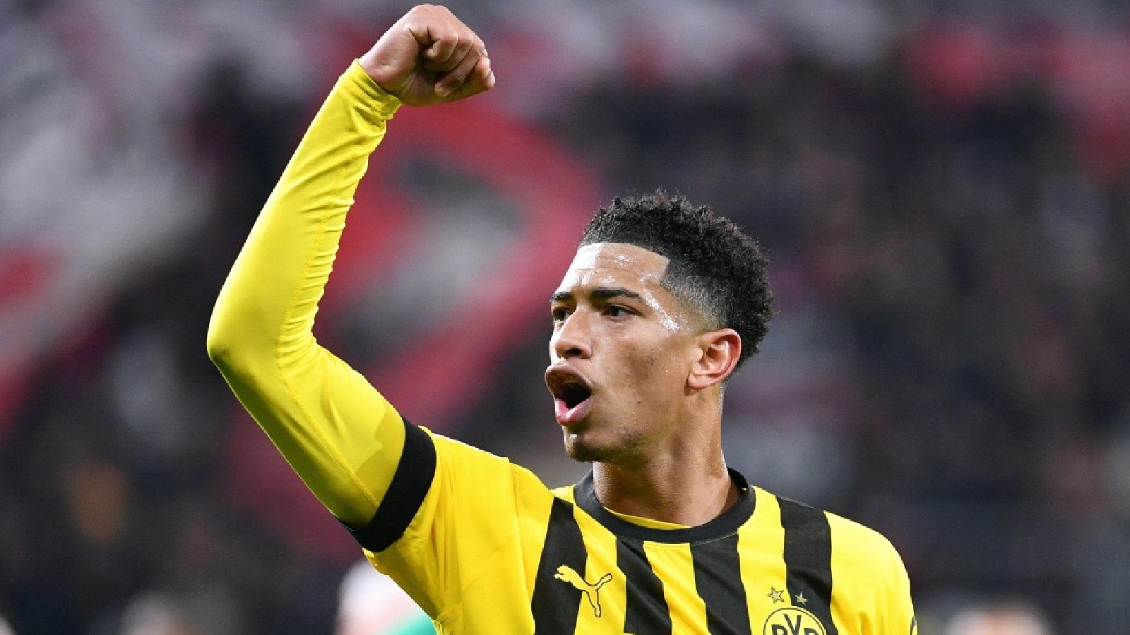 Bellinqem gələcək karyerası ilə bağlı qərar verdi