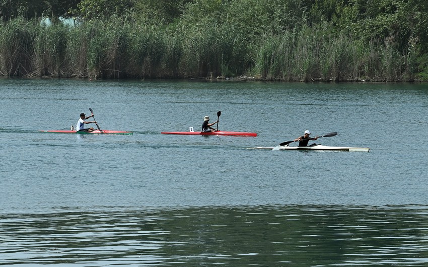 Azərbaycan çempionatına yekun vuruldu