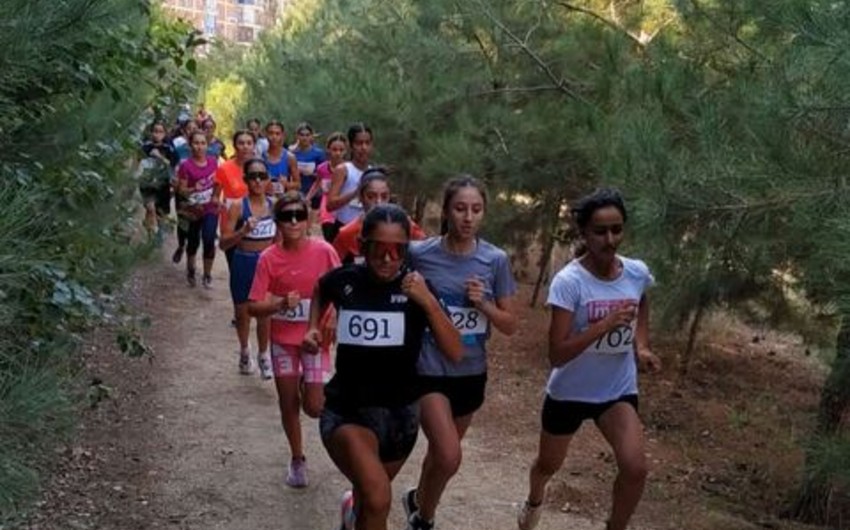 Bakı şəhər payız çempionatının qalibləri müəyyənləşib