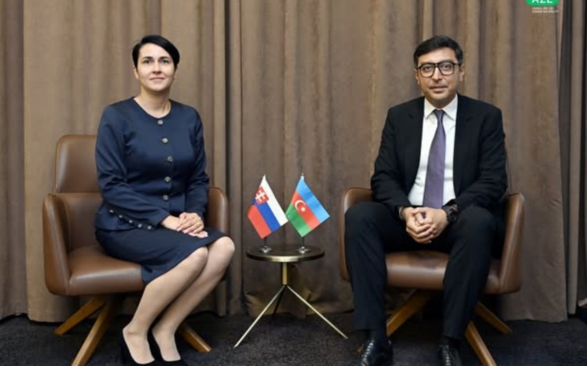 Fərid Qayıbov Slovakiyanın idman məsələləri üzrə dövlət katibi ilə görüşüb