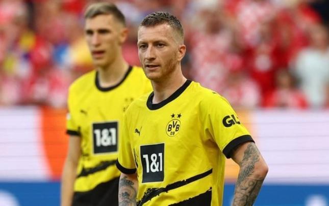 Marko Roys klub prezidenti oldu