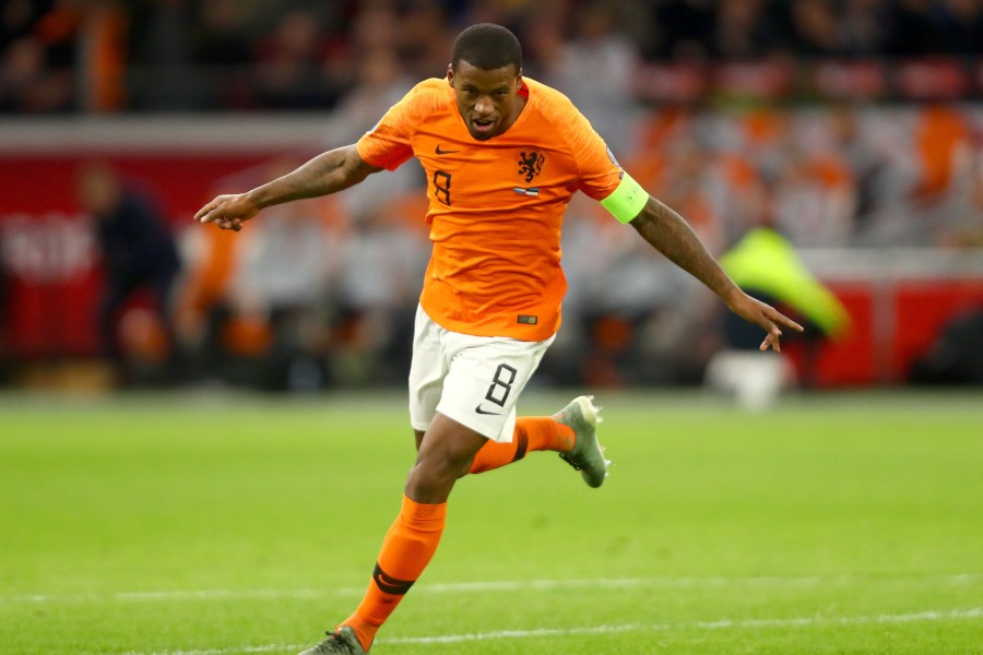 Veynaldum Avropa futboluna qayıda bilər