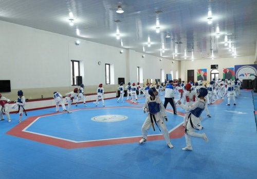 Gənc taekvondoçular təlim-məşq toplanışına başlayıblar