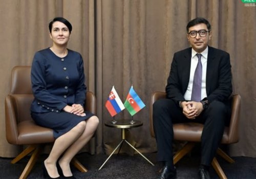 Fərid Qayıbov Slovakiyanın idman məsələləri üzrə dövlət katibi ilə görüşüb