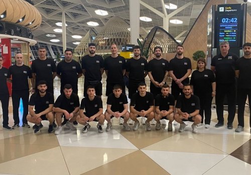 Millimiz İsveçə yollandı