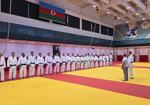 Cüdo hakimləri üçün növbəti praktiki seminar