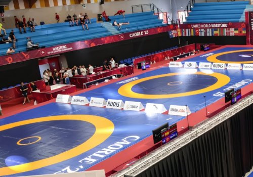 Azərbaycanın 6 güləşçisi Avropa çempionatının finalında
