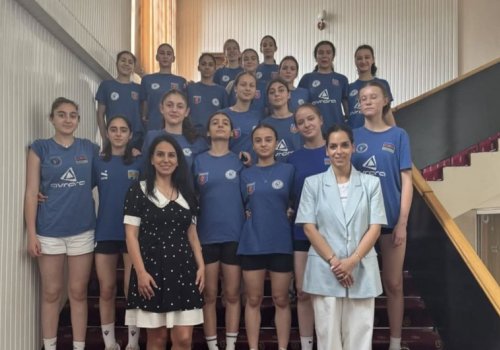AMADA millinin üzvləri üçün seminar keçirib
