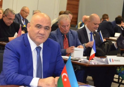 AAF rəsmisi IWF-in “Məsləhət qrupu”nda yer alacaq
