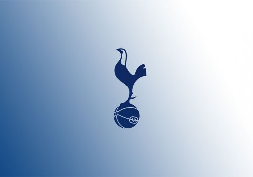 “Tottenhem” səs-küylü transfer hazırlayır