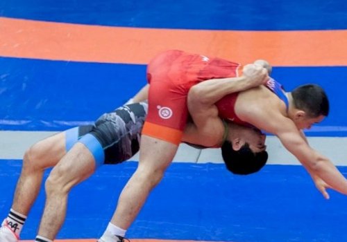 Milli güləş üzrə Azərbaycan çempionatı keçiriləcək