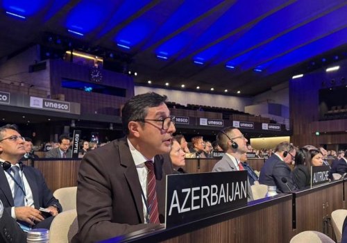 Fərid Qayıbov COP10-un sədri seçilib