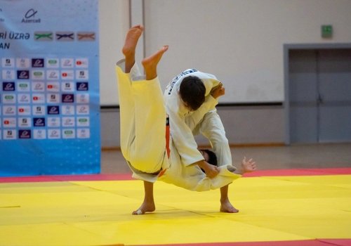 Naxçıvanda kəmər dərəcələri üzrə rəsmi imtahan keçirilib