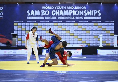 Sambo üzrə DÇ bu ölkədə keçiriləcək