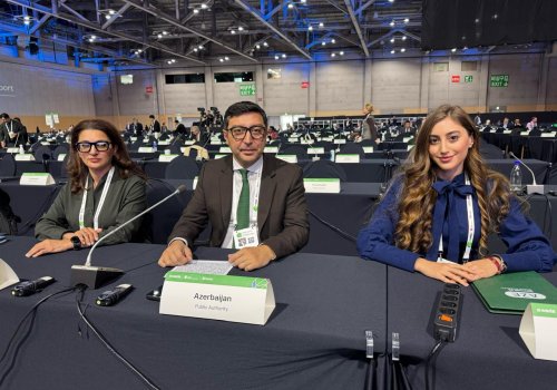 Fərid Qayıbov Dünya Antidopinq Konfransında iştirak edib