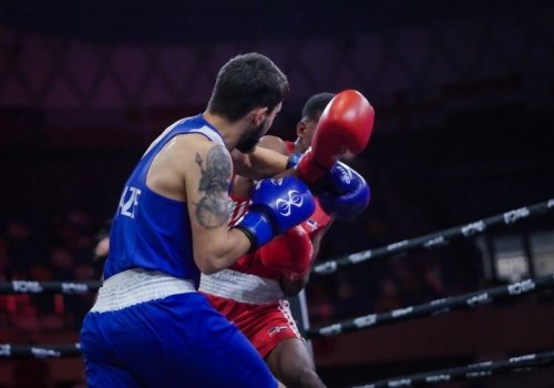 8 boksçumuz DÇ-nin 1/4 finalında