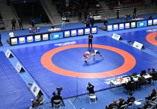 Sərbəst güləşdə daha 5 çəkidə finalçılar müəyyənləşdi