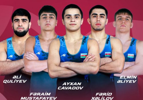 Elmin Əliyev Avropa çempionatının finalında