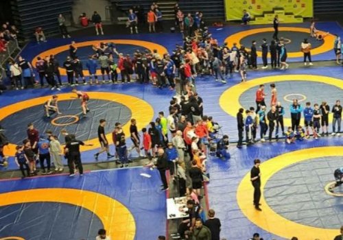 Stadnikdən 250 güləşçi üçün &ldquo;ustad dərsi&rdquo;