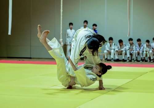 Gəncədə kəmər imtahanı təşkil edilib