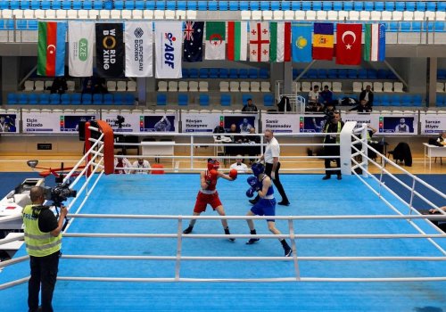 Azərbaycanın 19 boksçusu yarımfinalda!
