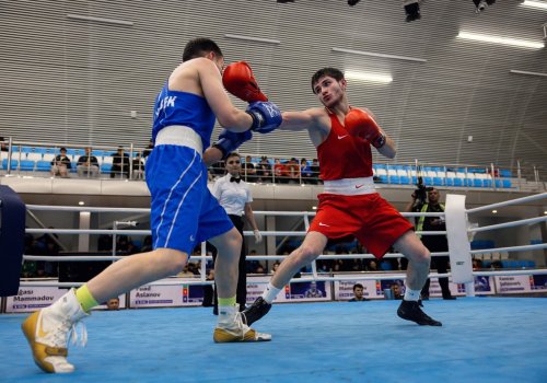 Azərbaycanın 11 boksçusu finalda