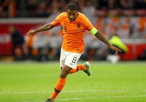 Veynaldum Avropa futboluna qayıda bilər