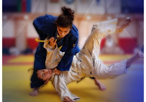 ACF Naxçıvanda kəmər dərəcələri üzrə rəsmi imtahan keçirəcək