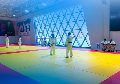 Goranboyda məşqçilər üçün dan seminarı keçirilib