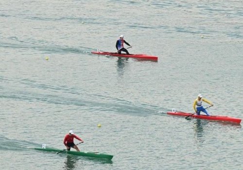 Azər İlyasovdan &ldquo;Prezident Kuboku&rdquo;nda qızıl medal