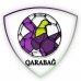 “Qarabağ” 4 yeni oyunçu ilə gücləndi