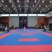 Mingəçevirdə beynəlxalq karate turniri