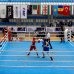 Azərbaycanın 19 boksçusu yarımfinalda!