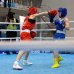 Heydər Əliyev kuboku: Daha 9 boksçumuz mərhələ adladı