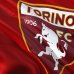 &ldquo;Torino&rdquo;nun prezidentindən baş məşqçi ilə bağlı vəd